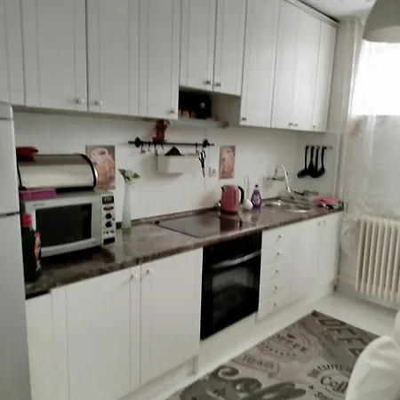 Apartment Mila Petrovaradin